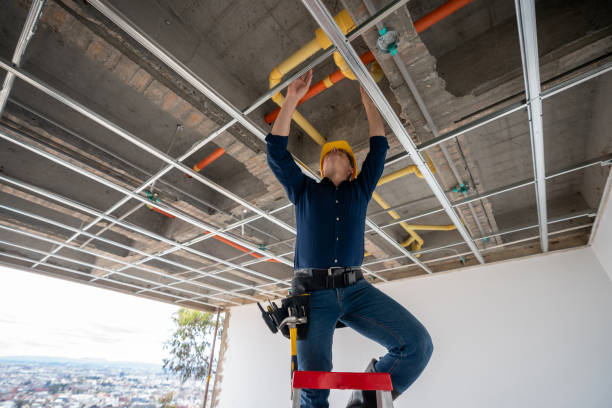 Best Emergency Plumber  in Bloomfield, MO