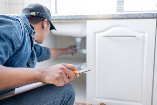 Best Local Plumber Services  in Bloomfield, MO