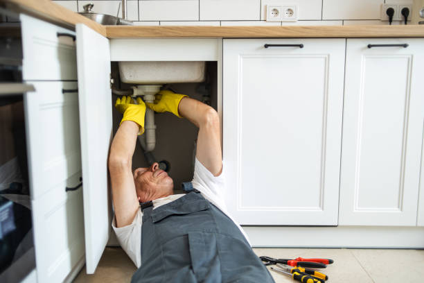 Best Commercial Plumbing Services  in Bloomfield, MO