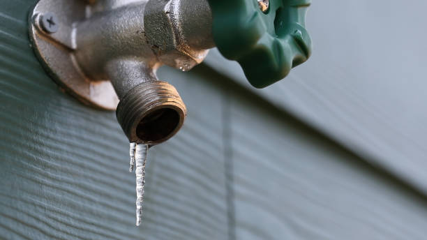 Best Clogged Drain Plumber  in Bloomfield, MO